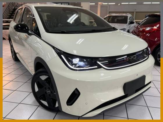 BYD DOLPHIN 45,1 KW ELÉTRICO SE